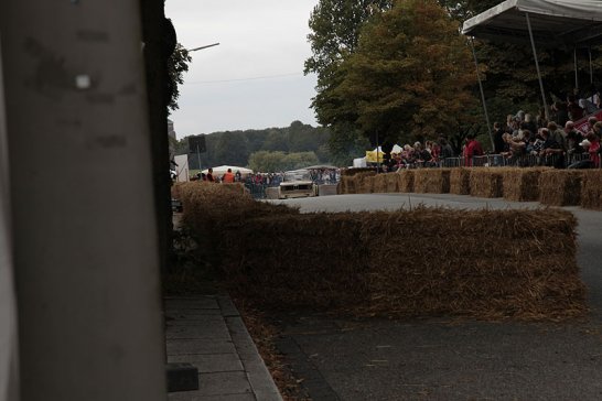 Hamburger Stadtpark-Revival 2009