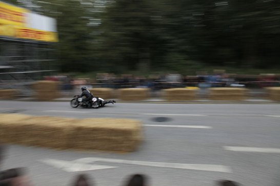 Hamburger Stadtpark-Revival 2009