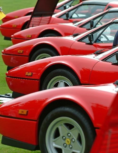 Concorso Italiano 2005 - Best of Show