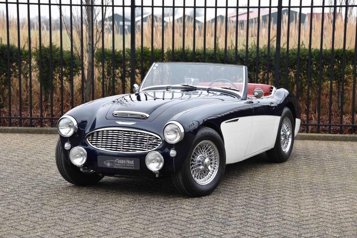 Austin Healey Mk Classic Driver Market