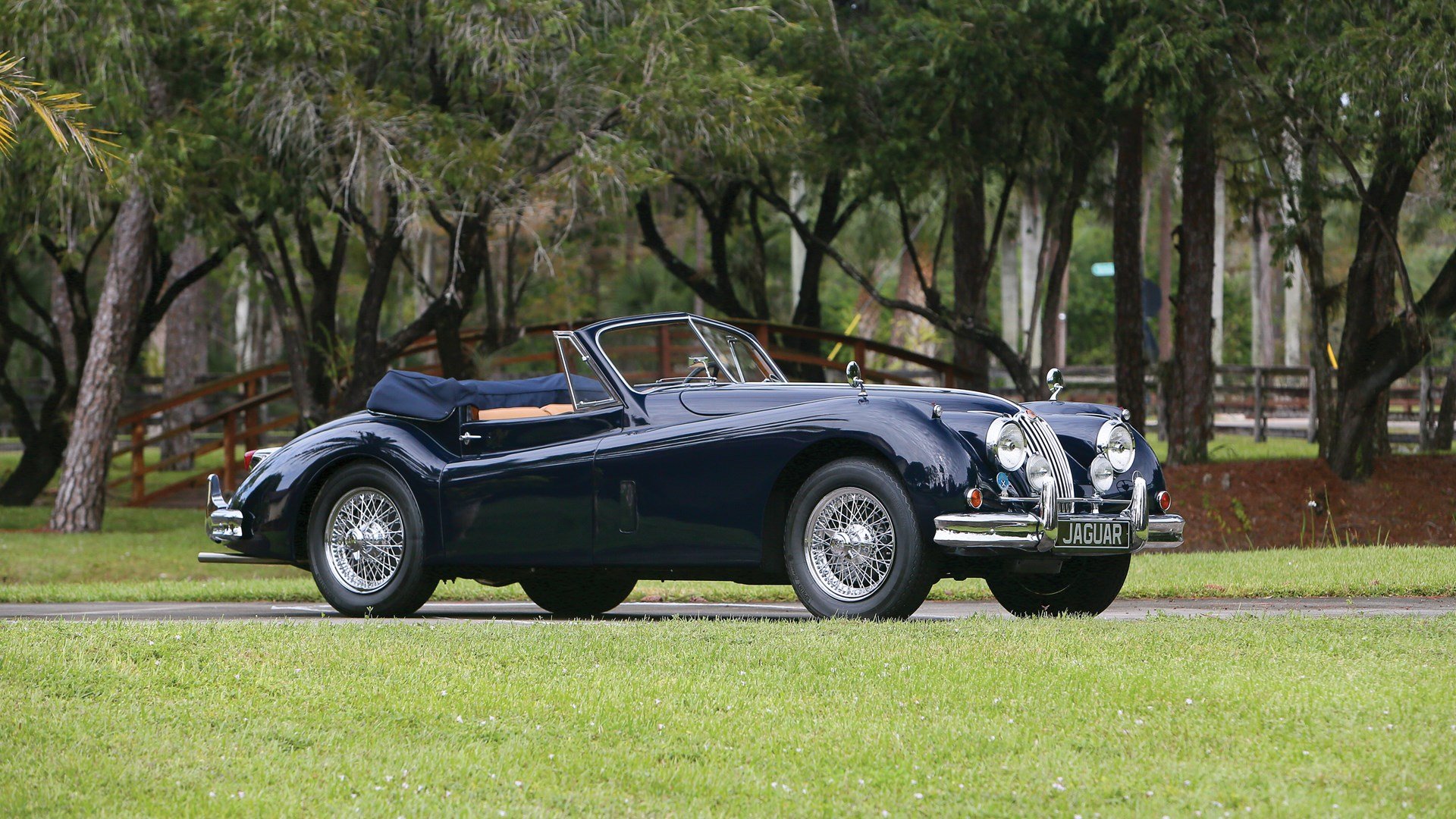 Jaguar xk140 1954