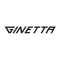 Ginetta kaufen