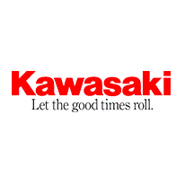 Kawasaki ZRX 1200 R kaufen