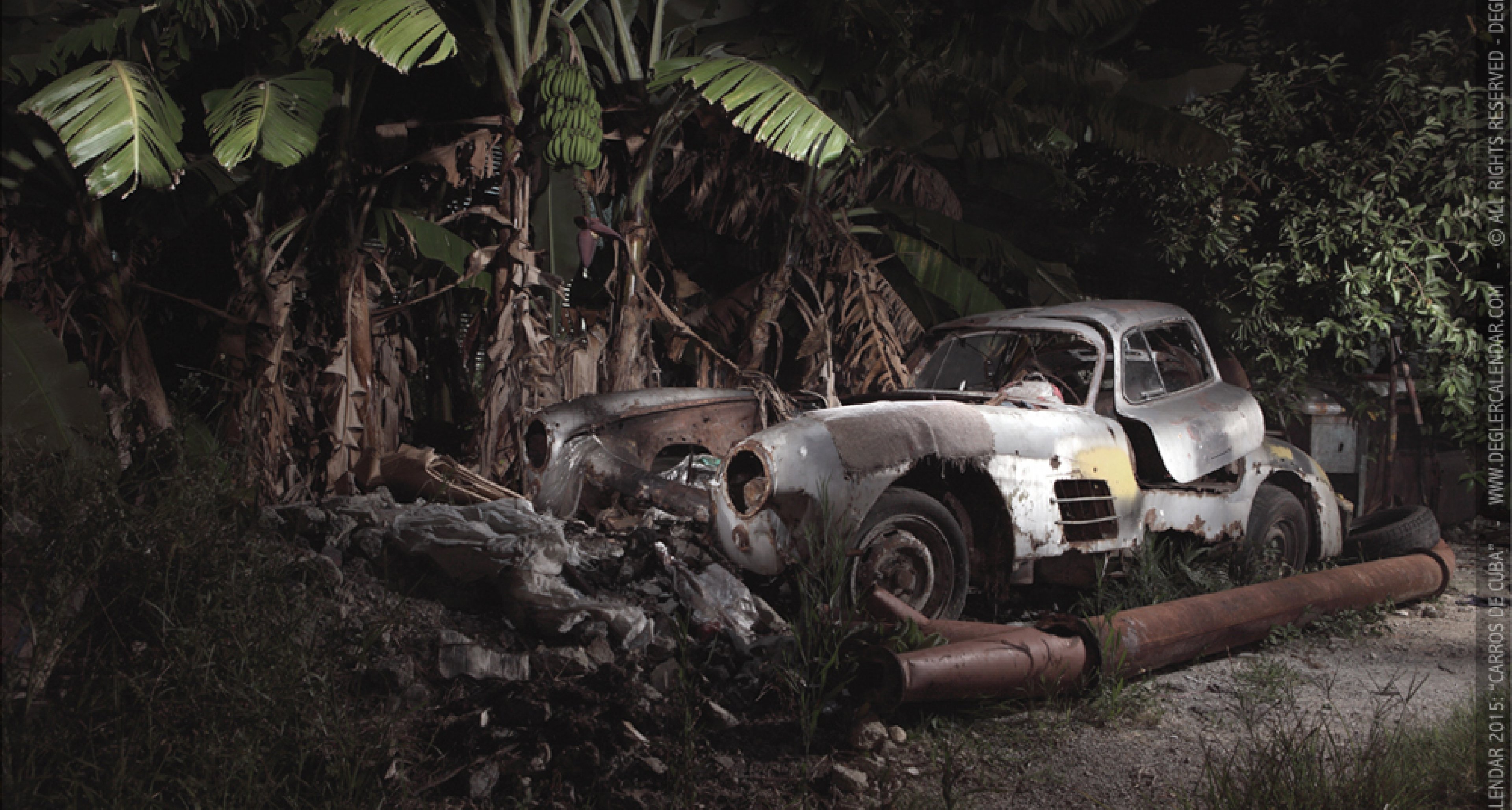 Palm Find Lost Mercedes Gullwing Found Under Banana Tree In Cuba