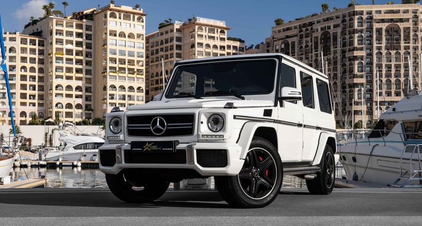 Legend the G-Class: From 1979 to Today新品-connectedremag.com