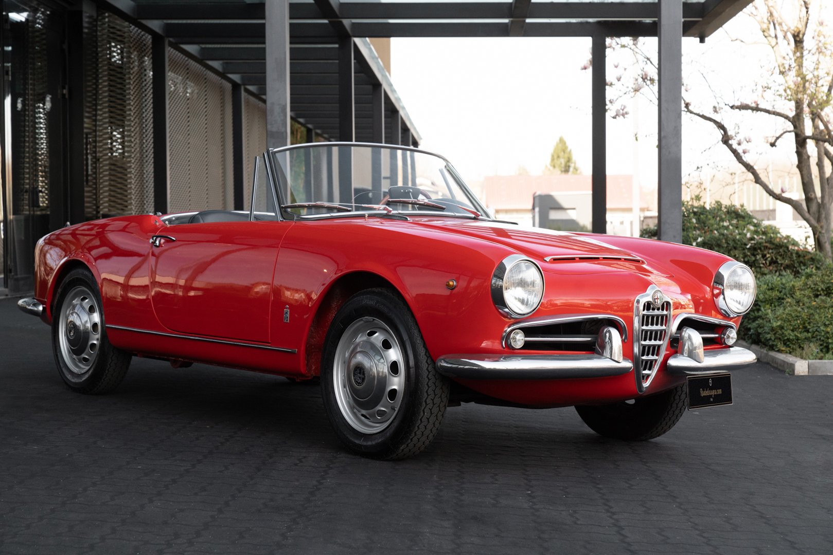 1964 Alfa Romeo Giulia | Classic Driver Market