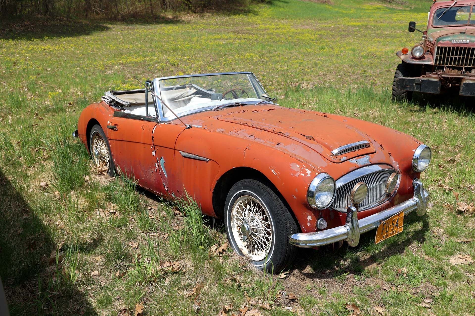 Austin Healey Classic Driver Market